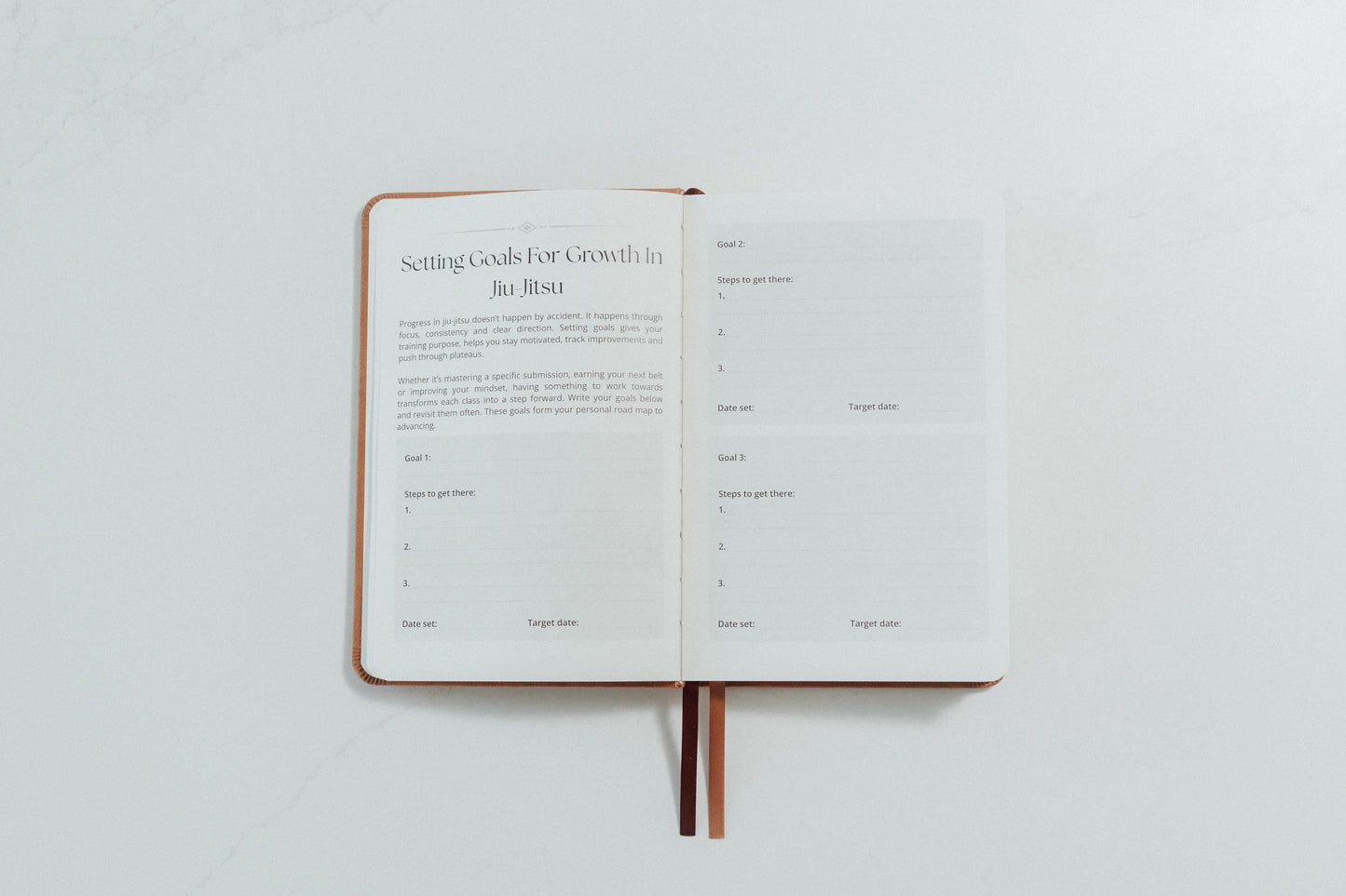 Open notebook with ivory pages and prompts relating to goals to complete on a light grey background