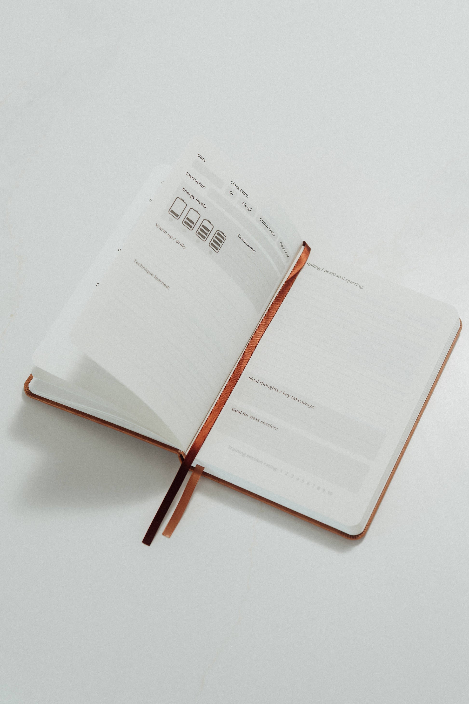 Open notebook with ivory pages and brown ribbon tabs and prompts to complete on a light grey background