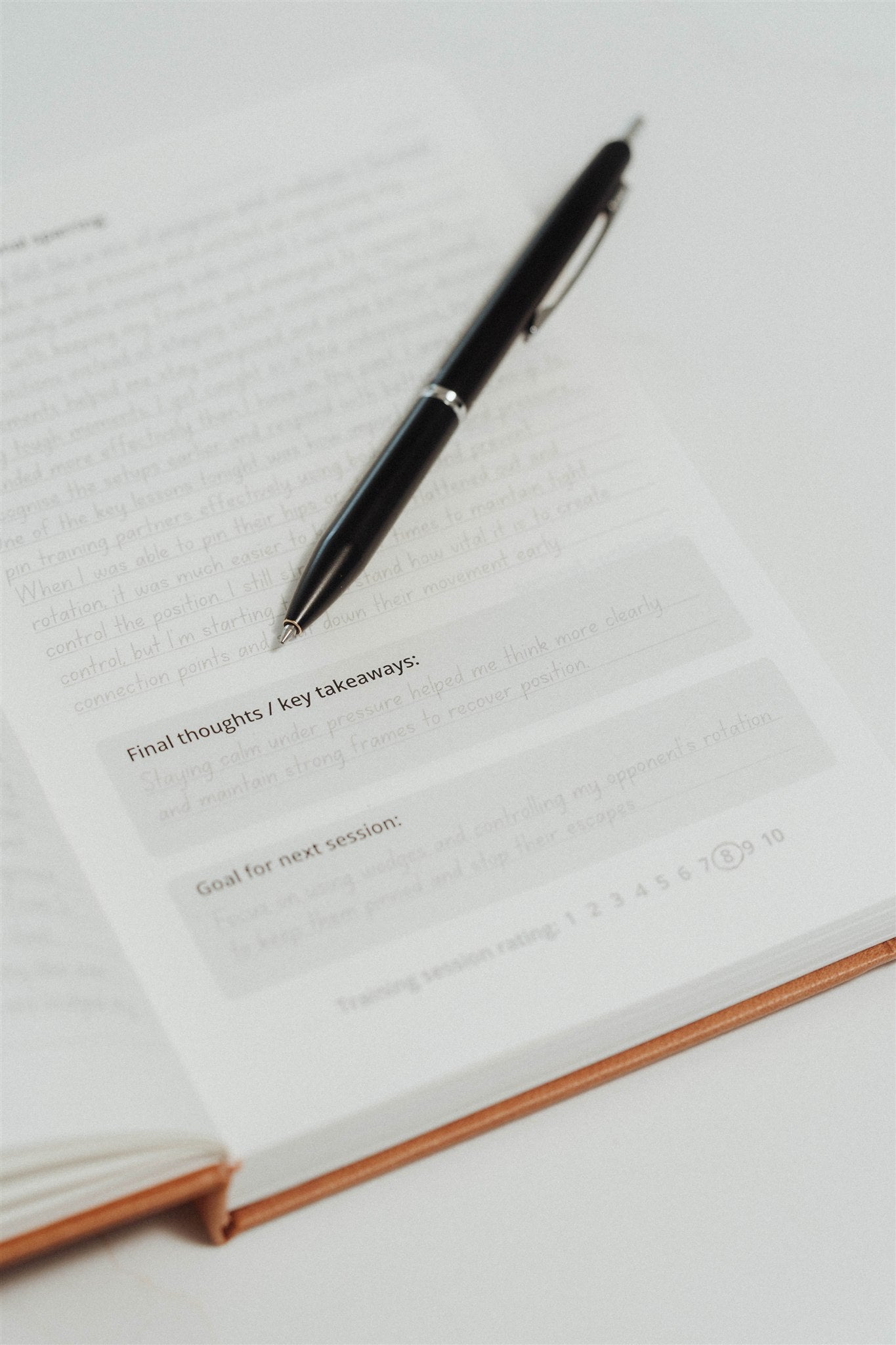 The Jiu Jitsu Journal