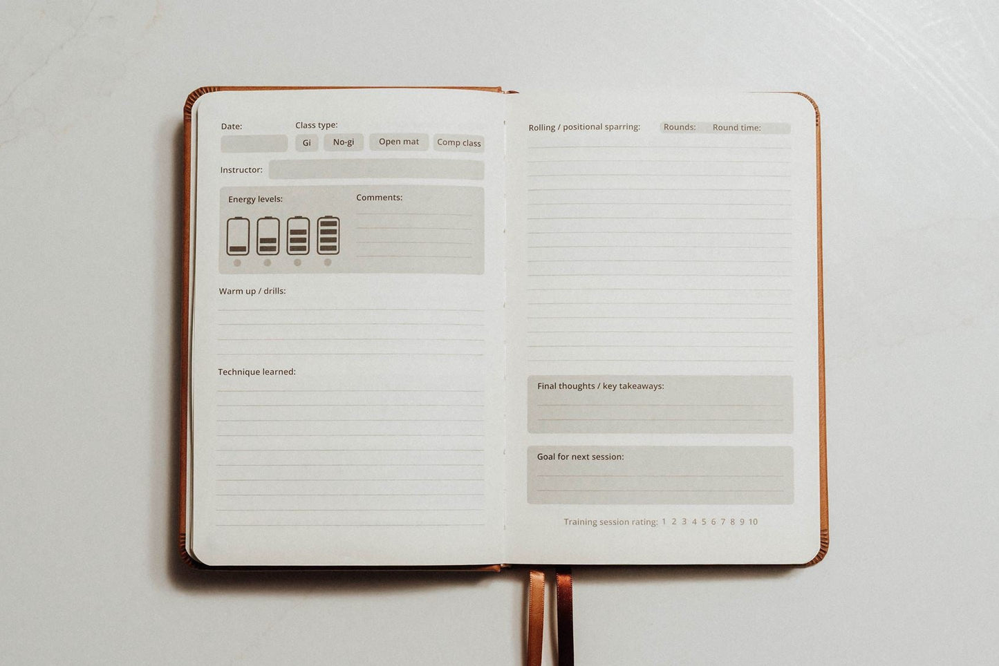 An open planner for main pages of the jiu jitsu journal.