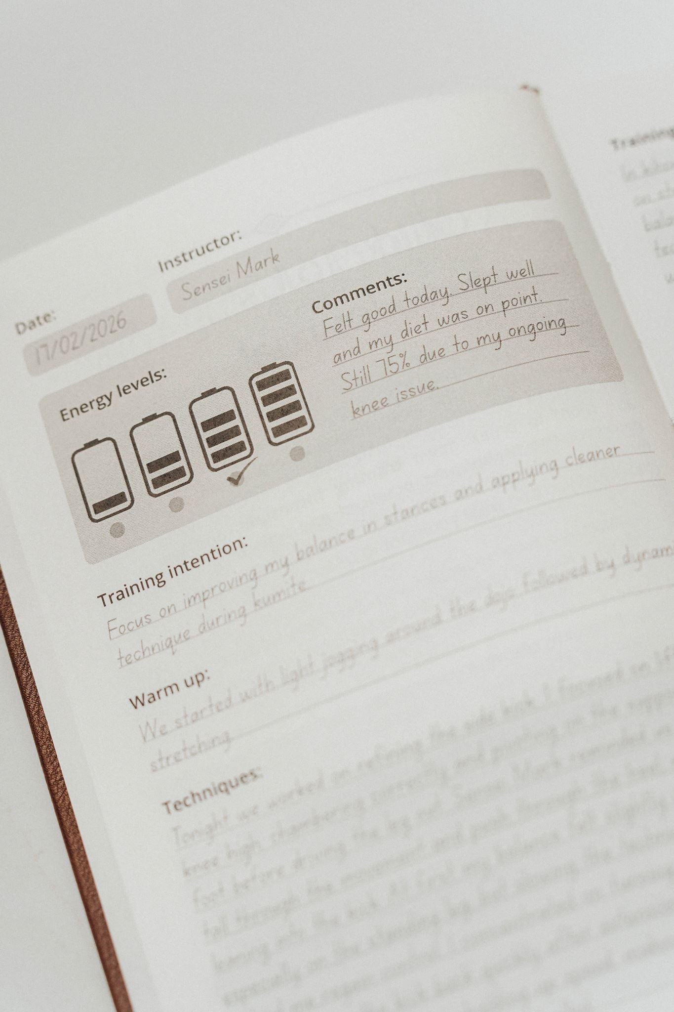 Close up of the left side of the training log showing energy levels, training intention, warm up and techniques
